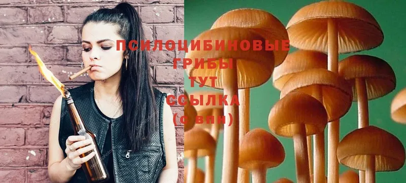 Галлюциногенные грибы Magic Shrooms  Нижняя Салда 